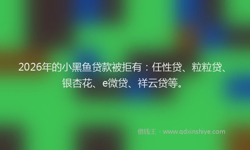 2026年的小黑鱼贷款被拒有：任性贷、粒粒贷、银杏花、e微贷、祥云贷等。