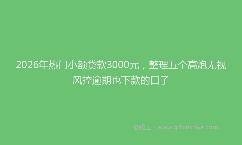 2026年热门小额贷款3000元，整理五个高炮无视风控逾期也下款的口子