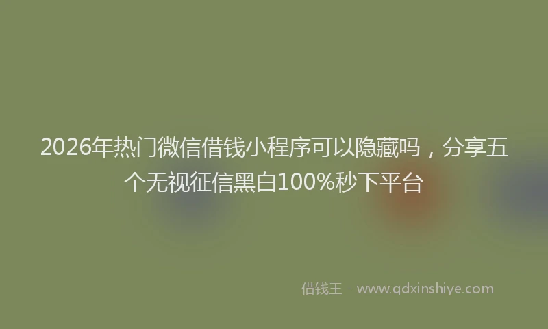 2026年热门微信借钱小程序可以隐藏吗,分享五个无视征信黑白100%秒下平台