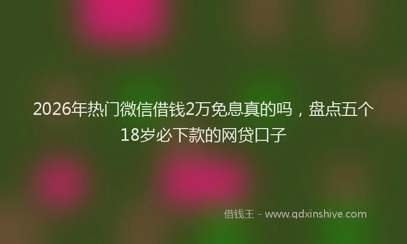 2026年热门微信借钱2万免息真的吗，盘点五个18岁必下款的网贷口子