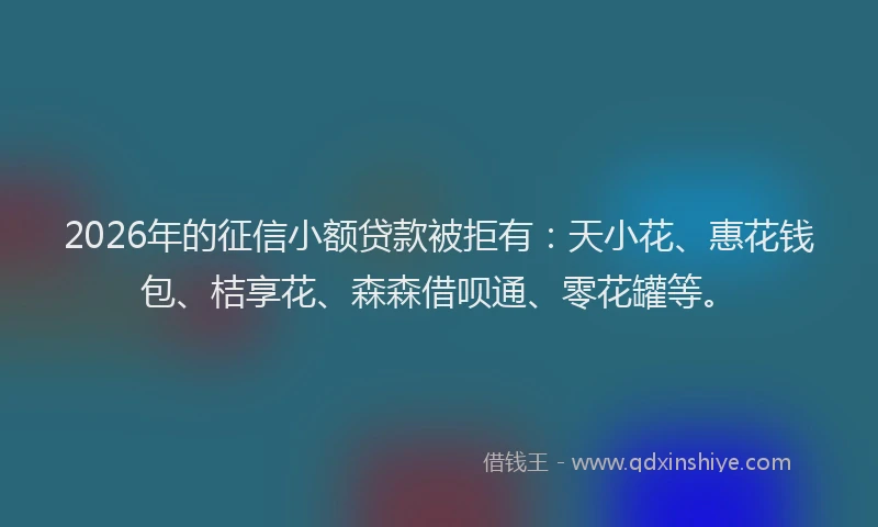2026年的征信小额贷款被拒有：天小花、惠花钱包、桔享花、森森借呗通、零花罐等。
