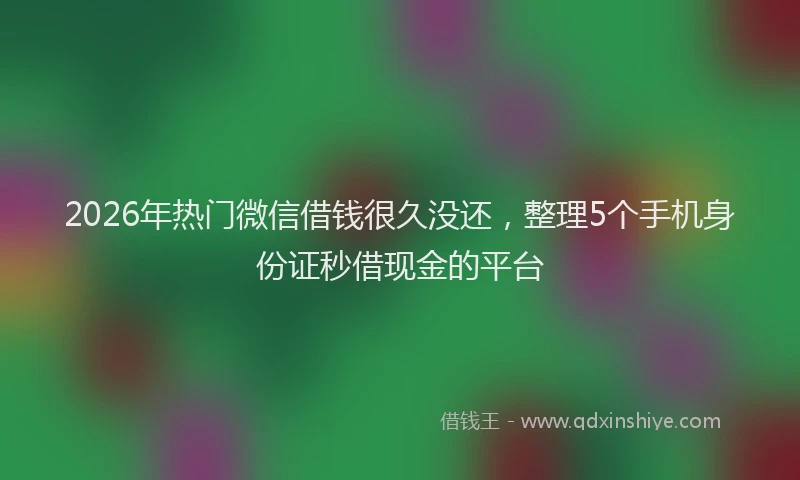 2026年热门微信借钱很久没还，整理5个手机身份证秒借现金的平台