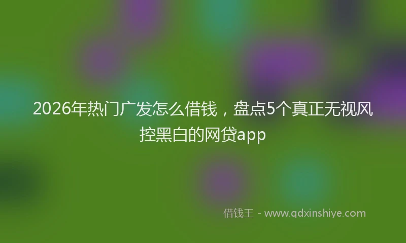 2026年热门广发怎么借钱，盘点5个真正无视风控黑白的网贷app