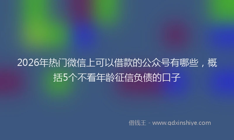 2026年热门微信上可以借款的公众号有哪些，概括5个不看年龄征信负债的口子