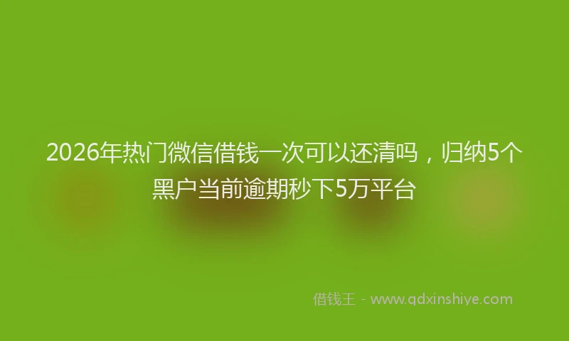 2026年热门微信借钱一次可以还清吗，归纳5个黑户当前逾期秒下5万平台