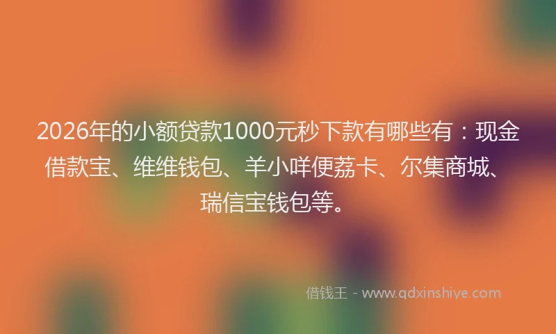 2026年的小额贷款1000元秒下款有哪些有：现金借款宝、维维钱包、羊小咩便荔卡、尔集商城、瑞信宝钱包等。