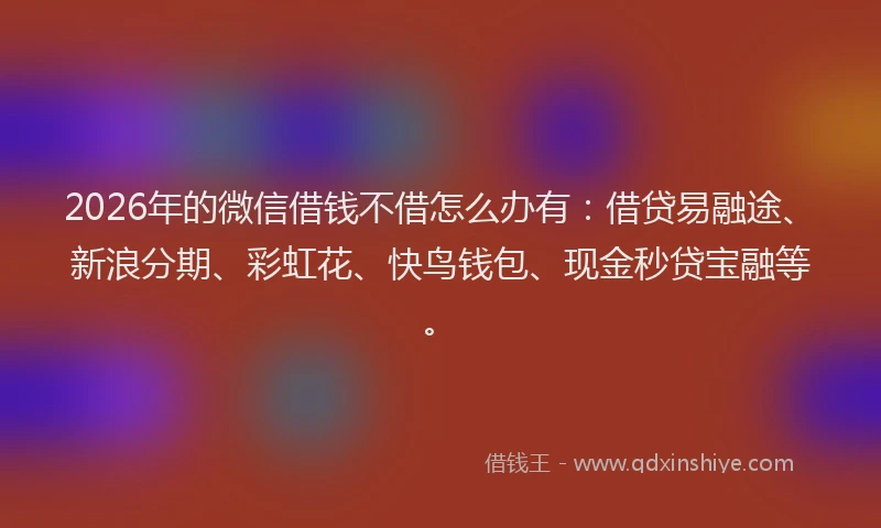 2026年的微信借钱不借怎么办有：借贷易融途、新浪分期、彩虹花、快鸟钱包、现金秒贷宝融等。