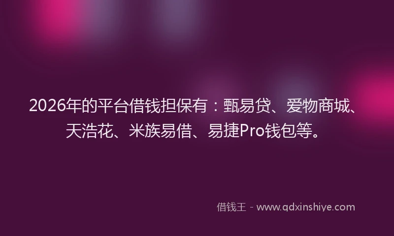 2026年的平台借钱担保有：甄易贷、爱物商城、天浩花、米族易借、易捷Pro钱包等。