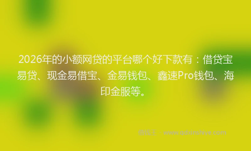 2026年的小额网贷的平台哪个好下款有：借贷宝易贷、现金易借宝、金易钱包、鑫速Pro钱包、海印金服等。