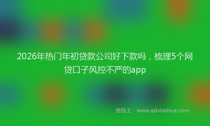 2026年热门年初贷款公司好下款吗，梳理5个网贷口子风控不严的app