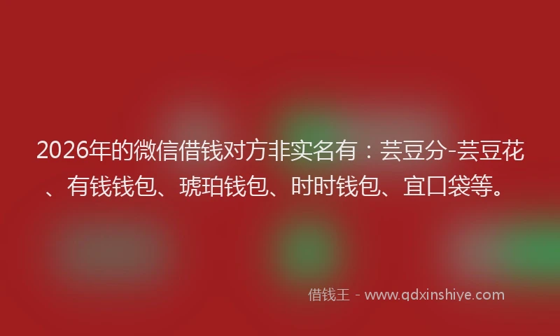 2026年的微信借钱对方非实名有：芸豆分-芸豆花、有钱钱包、琥珀钱包、时时钱包、宜口袋等。