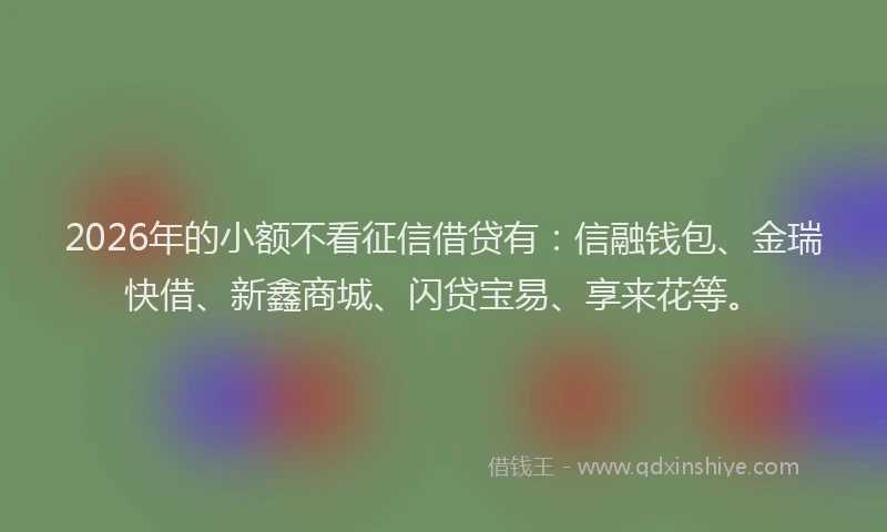 2026年的小额不看征信借贷有：信融钱包、金瑞快借、新鑫商城、闪贷宝易、享来花等。
