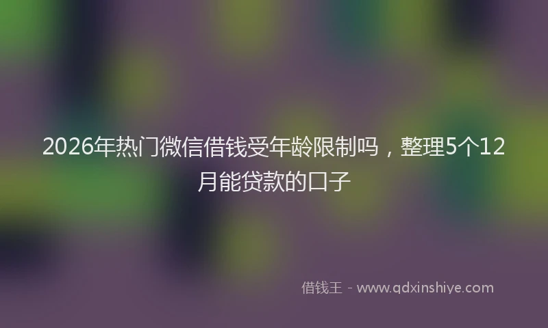 2026年热门微信借钱受年龄限制吗，整理5个12月能贷款的口子