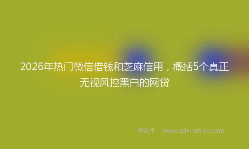 2026年热门微信借钱和芝麻信用，概括5个真正无视风控黑白的网贷