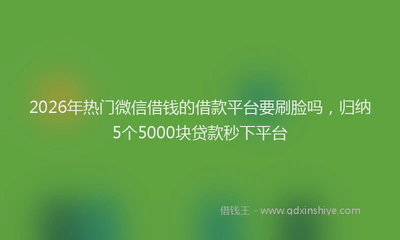2026年热门微信借钱的借款平台要刷脸吗，归纳5个5000块贷款秒下平台