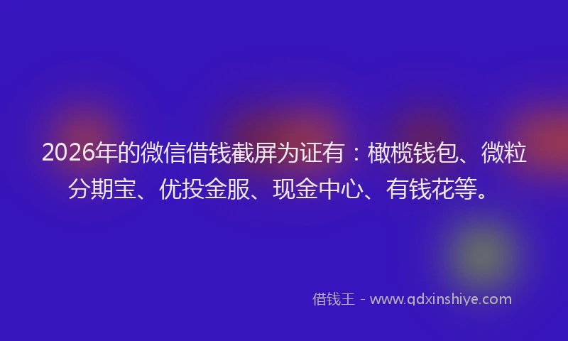 2026年的微信借钱截屏为证有:橄榄钱包、微粒分期宝、优投金服、现金中心、有钱花等。