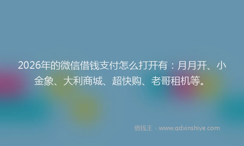 2026年的微信借钱支付怎么打开有：月月开、小金象、大利商城、超快购、老哥租机等。