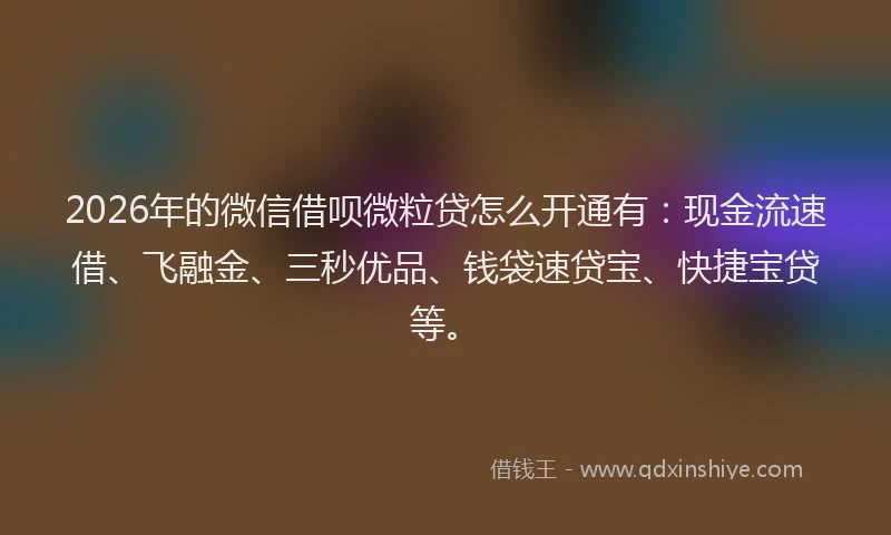 2026年的微信借呗微粒贷怎么开通有：现金流速借、飞融金、三秒优品、钱袋速贷宝、快捷宝贷等。