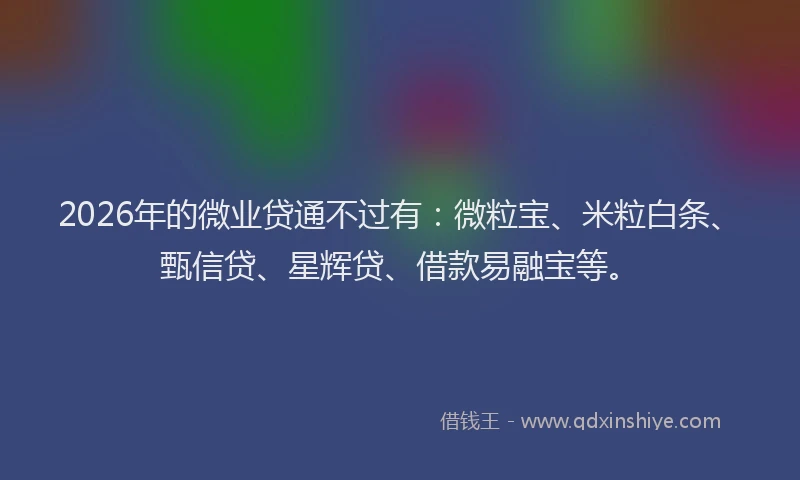 2026年的微业贷通不过有：微粒宝、米粒白条、甄信贷、星辉贷、借款易融宝等。