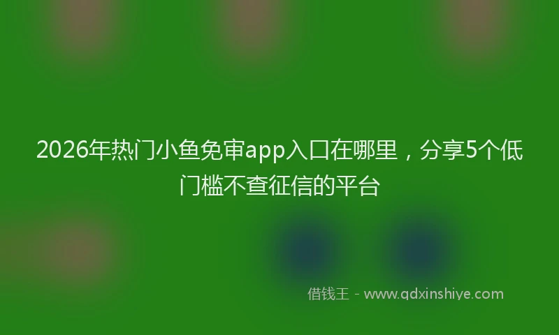 2026年热门小鱼免审app入口在哪里,分享5个低门槛不查征信的平台