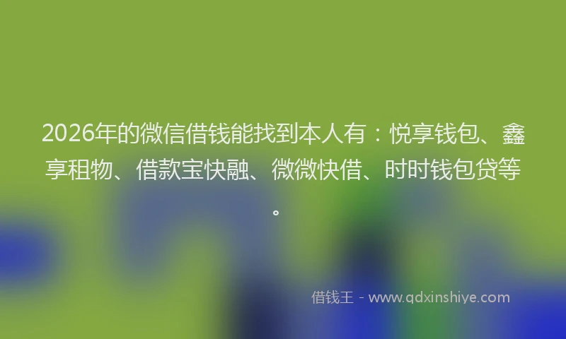 2026年的微信借钱能找到本人有：悦享钱包、鑫享租物、借款宝快融、微微快借、时时钱包贷等。