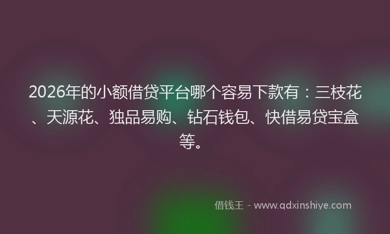2026年的小额借贷平台哪个容易下款有：三枝花、天源花、独品易购、钻石钱包、快借易贷宝盒等。