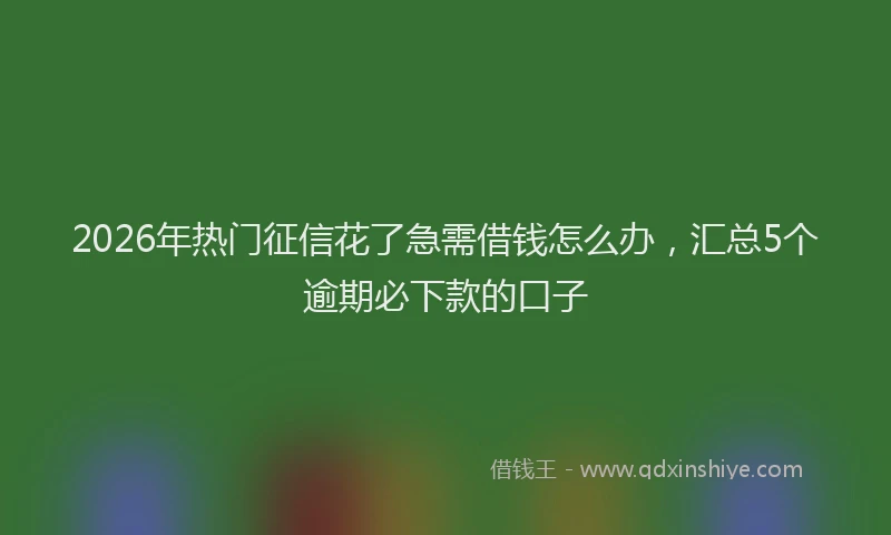 2026年热门征信花了急需借钱怎么办，汇总5个逾期必下款的口子