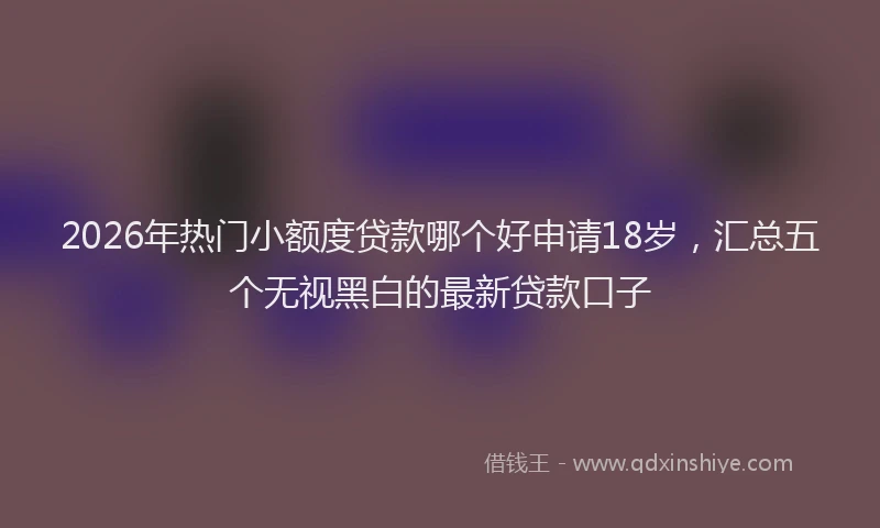 2026年热门小额度贷款哪个好申请18岁，汇总五个无视黑白的最新贷款口子