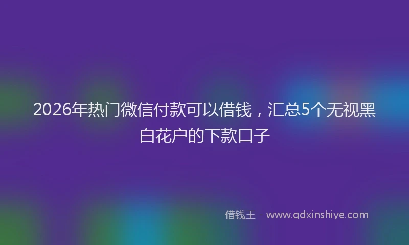 2026年热门微信付款可以借钱，汇总5个无视黑白花户的下款口子