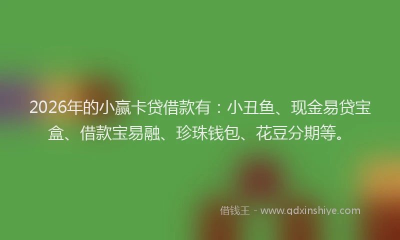 2026年的小赢卡贷借款有：小丑鱼、现金易贷宝盒、借款宝易融、珍珠钱包、花豆分期等。