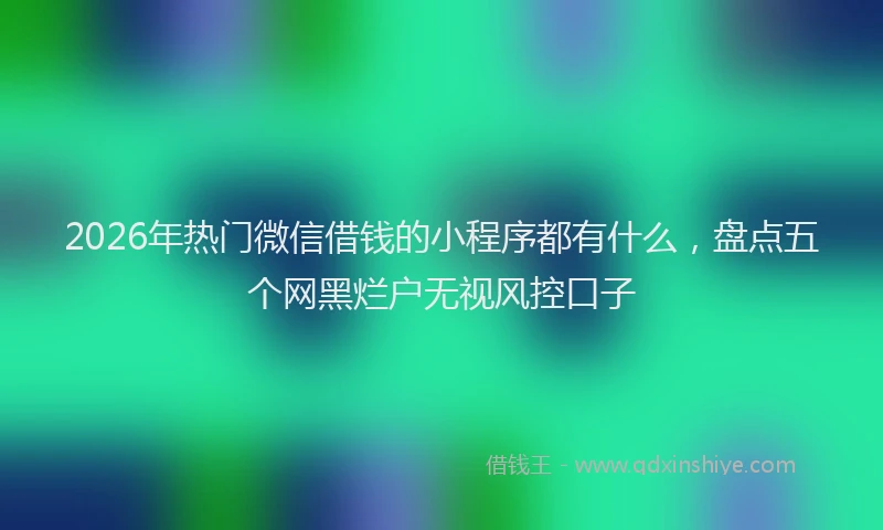 2026年热门微信借钱的小程序都有什么，盘点五个网黑烂户无视风控口子