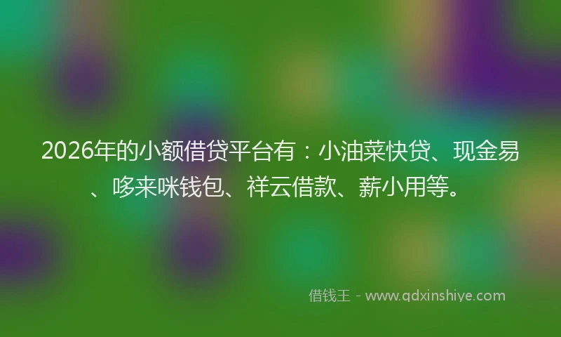 2026年的小额借贷平台有：小油菜快贷、现金易、哆来咪钱包、祥云借款、薪小用等。