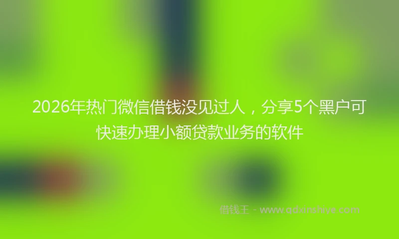 2026年热门微信借钱没见过人，分享5个黑户可快速办理小额贷款业务的软件