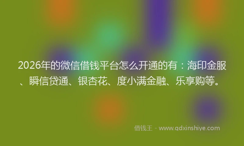 2026年的微信借钱平台怎么开通的有：海印金服、瞬信贷通、银杏花、度小满金融、乐享购等。