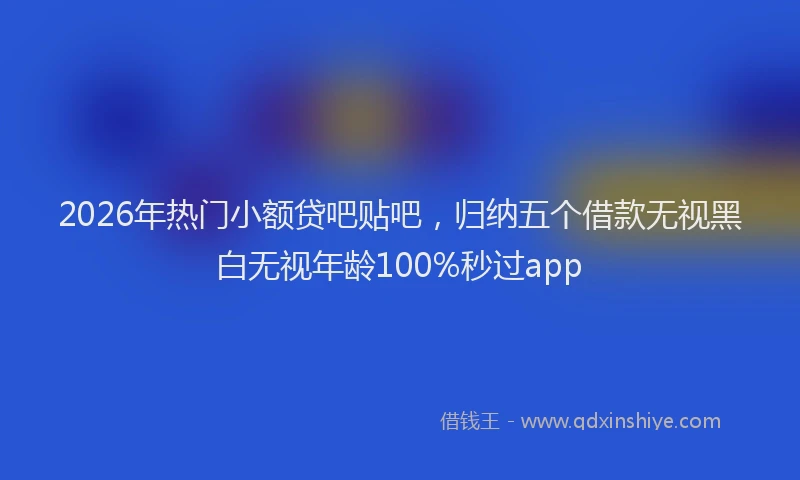 2026年热门小额贷吧贴吧，归纳五个借款无视黑白无视年龄100%秒过app