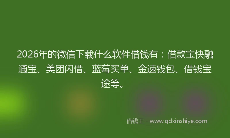 2026年的微信下载什么软件借钱有：借款宝快融通宝、美团闪借、蓝莓买单、金速钱包、借钱宝途等。