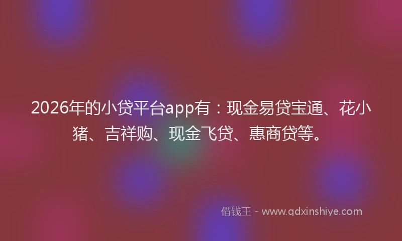 2026年的小贷平台app有：现金易贷宝通、花小猪、吉祥购、现金飞贷、惠商贷等。