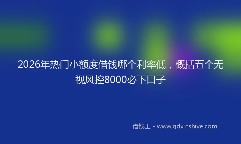 2026年热门小额度借钱哪个利率低，概括五个无视风控8000必下口子
