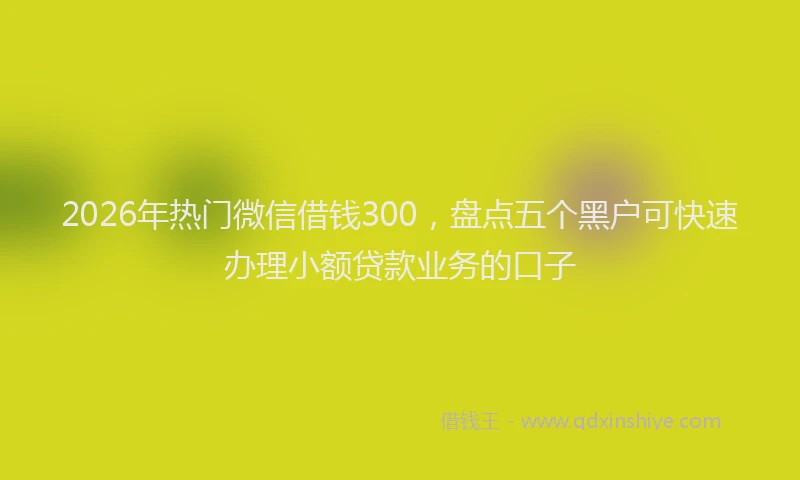 2026年热门微信借钱300，盘点五个黑户可快速办理小额贷款业务的口子