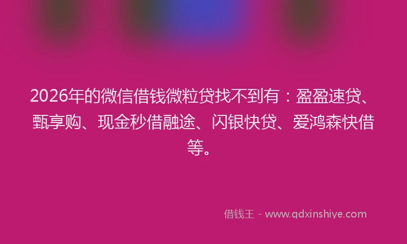 2026年的微信借钱微粒贷找不到有：盈盈速贷、甄享购、现金秒借融途、闪银快贷、爱鸿森快借等。