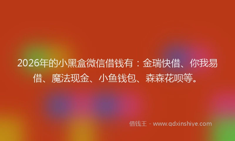2026年的小黑盒微信借钱有：金瑞快借、你我易借、魔法现金、小鱼钱包、森森花呗等。
