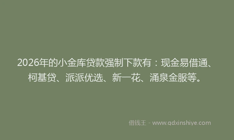 2026年的小金库贷款强制下款有：现金易借通、柯基贷、派派优选、新一花、涌泉金服等。