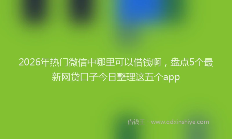 2026年热门微信中哪里可以借钱啊,盘点5个最新网贷口子今日整理这五个app