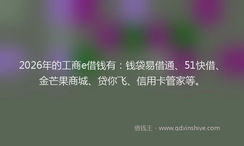 2026年的工商e借钱有：钱袋易借通、51快借、金芒果商城、贷你飞、信用卡管家等。