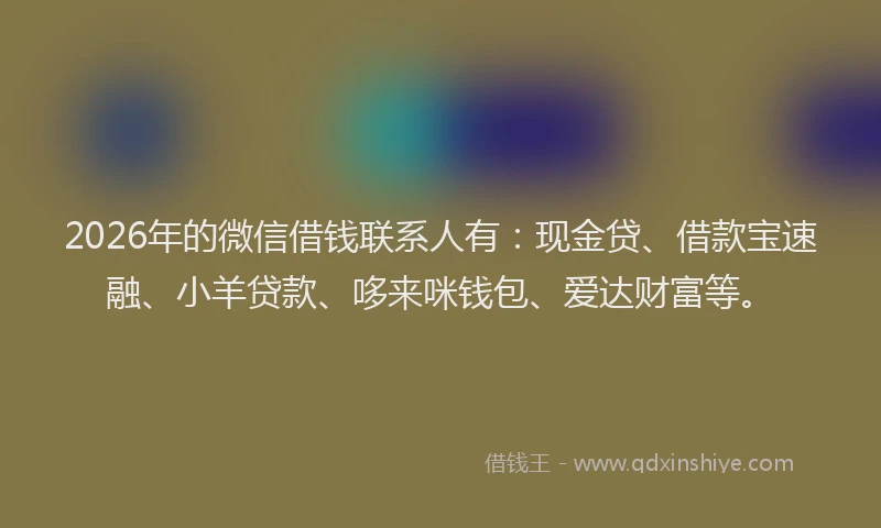 2026年的微信借钱联系人有：现金贷、借款宝速融、小羊贷款、哆来咪钱包、爱达财富等。