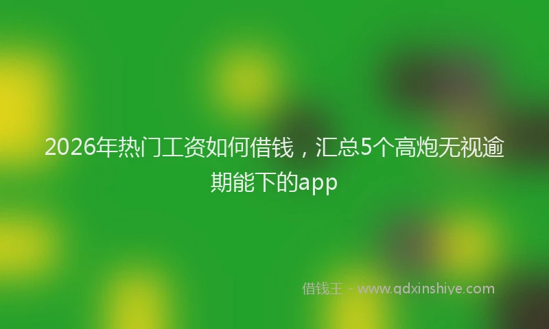2026年热门工资如何借钱，汇总5个高炮无视逾期能下的app