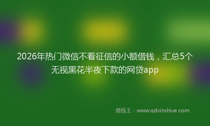 2026年热门微信不看征信的小额借钱，汇总5个无视黑花半夜下款的网贷app