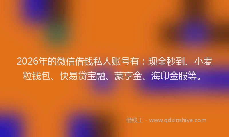 2026年的微信借钱私人账号有：现金秒到、小麦粒钱包、快易贷宝融、蒙享金、海印金服等。