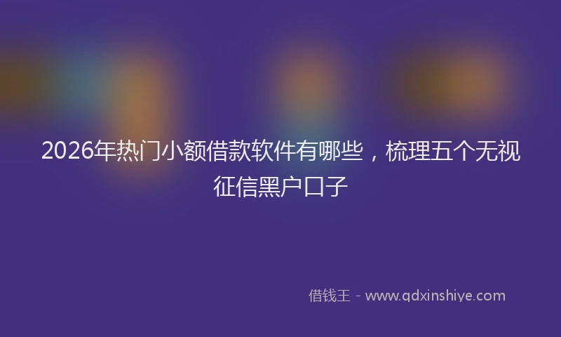 2026年热门小额借款软件有哪些，梳理五个无视征信黑户口子