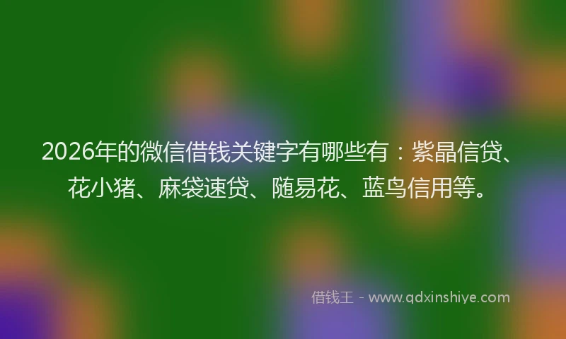 2026年的微信借钱关键字有哪些有：紫晶信贷、花小猪、麻袋速贷、随易花、蓝鸟信用等。